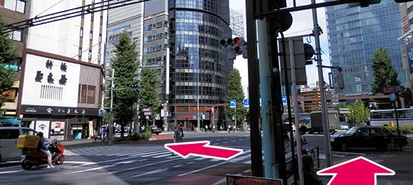 大きな交差点（右手に中央三井信託銀行）が見えたら新橋玉木屋に向かって横断歩道を渡ります。