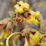 自分に霊感があるかどうか確かめたい時の占い